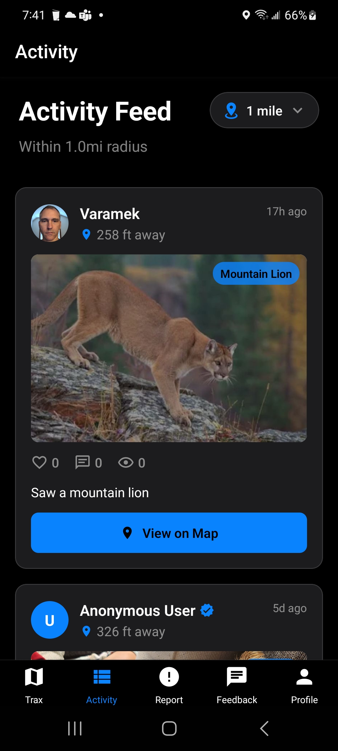 Activity Feed